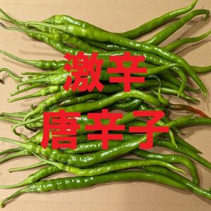 埼玉県産 激辛青唐辛子ミックス 箱込み400g