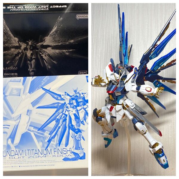 RG 1/144 ストライクフリーダムガンダム チタニウムフィニッシュ(本体組立済)、エフェクトユニット