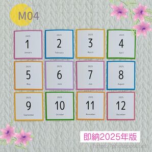 2025年版 マンスリーカード ましかく ビビッド ポップ