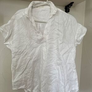 スタジオクリップ フレンチ袖