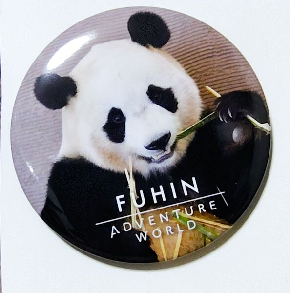 アドベンチャーワールド 楓浜(現在)缶バッジ Thank you PANDA FAMILY