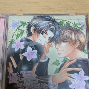 blcd 優しいだけじゃ足りなくて