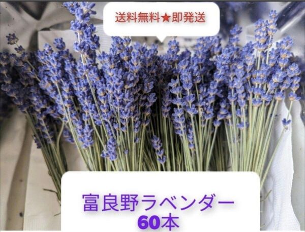 【富良野・ラベンダー】ドライフラワー★60本★乾燥 花 ハーブ アクアリウム 匂い袋 ハンドメイド 即発送