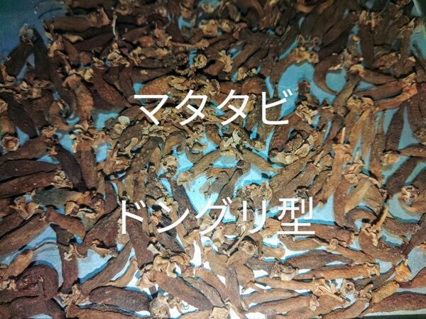 岩手県産 マタタビの実 ドングリ型 乾燥 50g