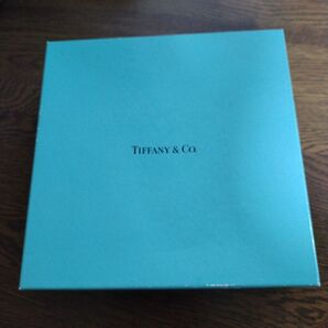 【新品未使用】TIFFANY&Co. プレ―トGold Band 2枚