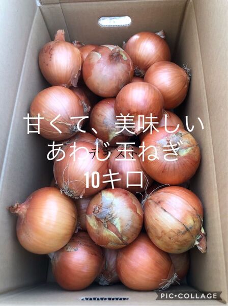 淡路島産 玉ねぎ10キロ