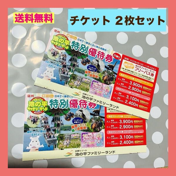 遊園地 池の平ファミリーランド フリーパス券 ホテル 宿泊割引券 お得な2枚セット 特別優待券 パスポート券