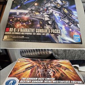 MG 1/100 ガンダムベース限定 デスティニーガンダム (ハイネ専用機) と HGUC 1/144 ナラティブガンダム A装備
