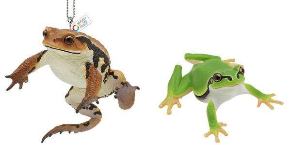 ヒキガエル & アマガエル ネイチャーテクニカラー MONO PLUS ヒキガエルとアマガエル 未使用