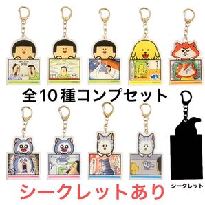 まめきちまめこ アクリルキーホルダー 全10種コンプセット(シークレットあり)
