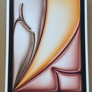 【開封済み未使用新品】Apple iPad Air 11インチ 256GB