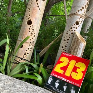 2015年発行【ビートルズ231曲全ガイド】藤本国彦