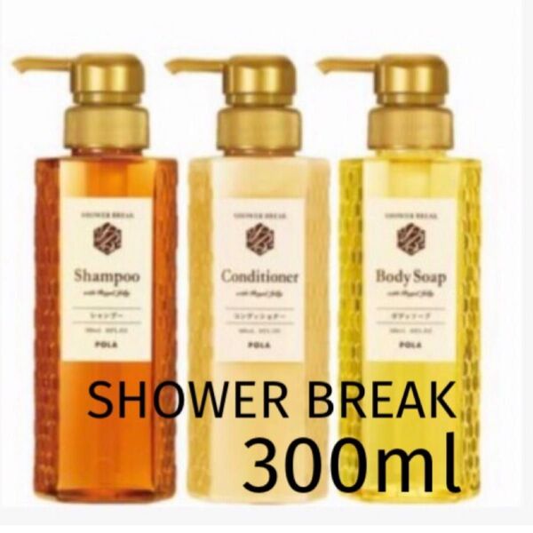【新品】New シャワーブレイク 専用ボトル300ml 3本 シャンプー・コンディショナー・ボディソープ 中身入