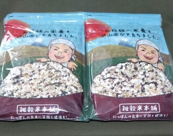 雑穀米本舗 明日への輝き 39穀米ブレンド 雑穀米450g ×2袋