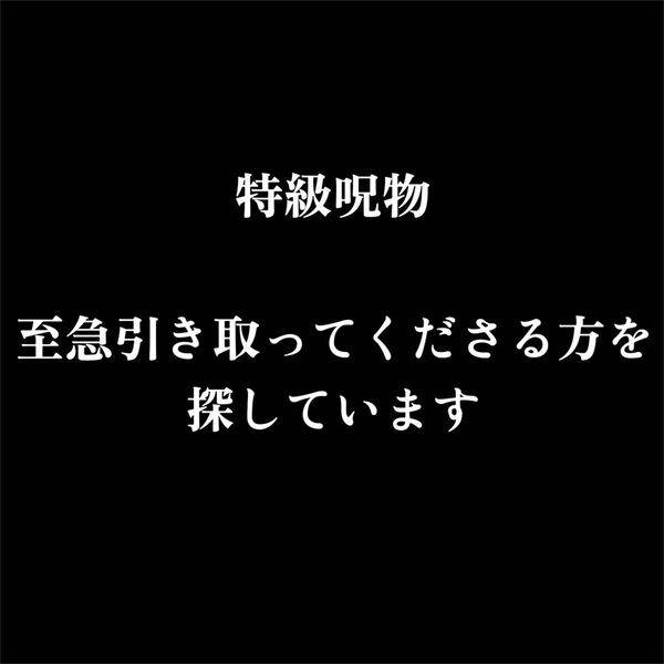 値段交渉承ります 18,000円~ 特級 呪物 呪いに使われた道具の人形です 至急お迎えお待ちしています 日本人形 呪具
