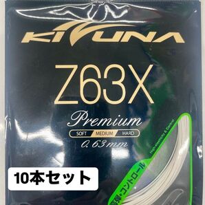 【KIZUNA】Z63X ホワイト 10m 10個セット