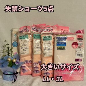 P61【下着 肌着 インナー】レディース 失禁 ショーツ パンツ 5枚 大きい