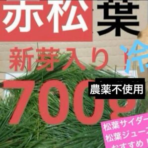 無農薬 赤松の葉 松の葉 夏野菜 松葉 野菜 岡山県産 即日発送 即購入可能