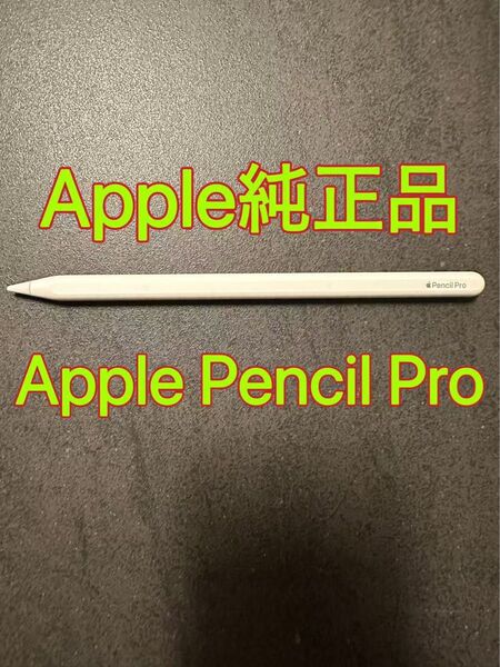 美品 Apple Pencil Pro アップルペンシルプロ
