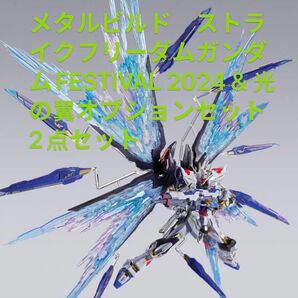 メタルビルド ストライクフリーダムガンダムFESTIVAL 2024 & 光の翼オプションセット