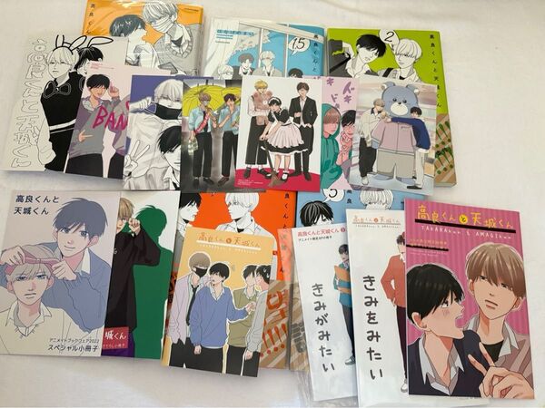 はなげのまい 高良くんと天城くん とらのあな小冊子 アニメイト小冊子