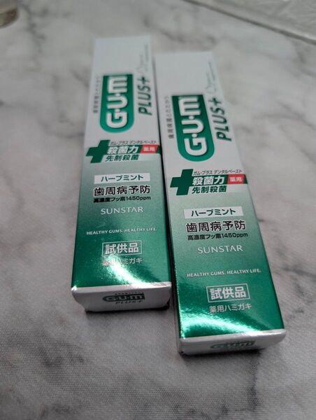ガム・プラス 薬用 デンタルペースト 歯磨き粉 20g 2個 虫歯 歯周病予防 高濃度フッ素