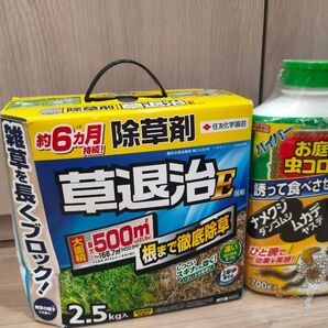最終値下げ 住友化学園芸 草退治EX 除草剤 虫ころり 未使用