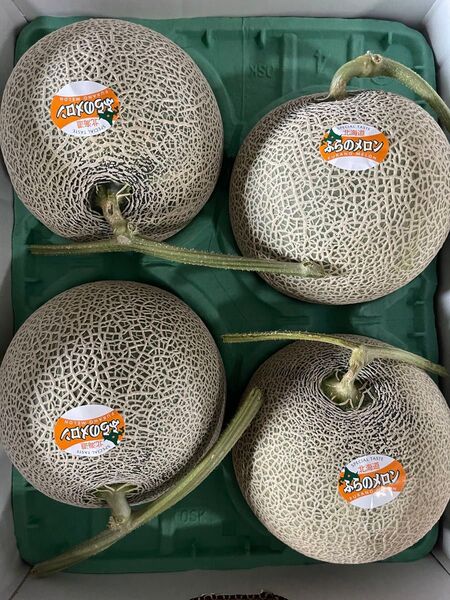 【訳あり!自宅用!】北海道 富良野産 赤肉メロン 大玉4個入り 糖度15度以上 富良野メロン ふらのメロン