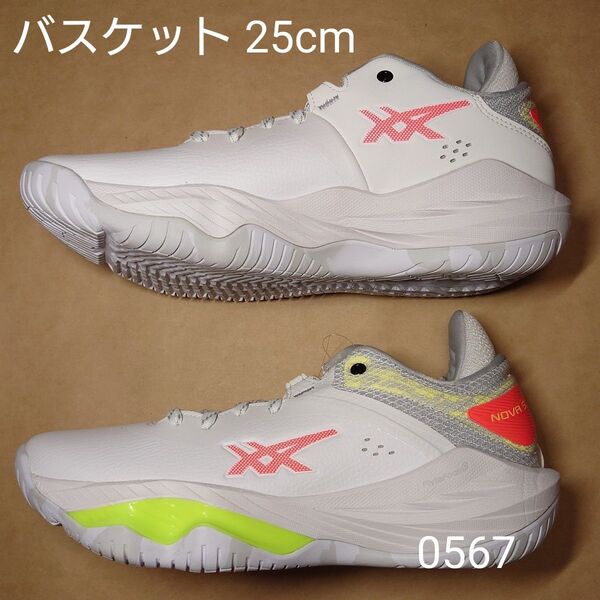 バスケットボール 25cm アシックス NOVA SURGE LOW