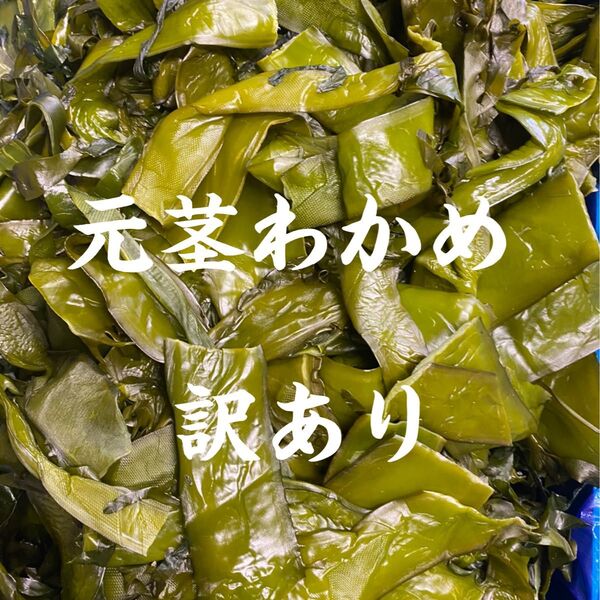元茎わかめ 宮城県石巻産 新もの! 5キロ