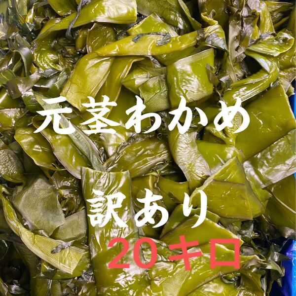 元茎わかめ 宮城県石巻産 訳あり