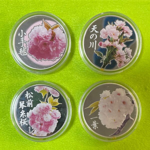 桜の通り抜け 2012.2013.2014.2015.小手毬.天の川.松前琴糸桜.一葉 径35mm 2mm 重20g 銀合計80g