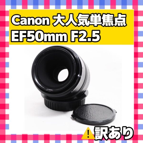訳アリ 単焦点 Canon EF 50mm F2.5 コンパクトマクロ