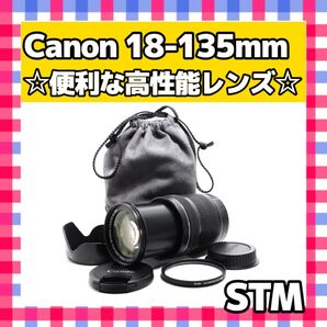 美品 Canon キヤノンEF-S 18-135mm F3.5-5.6 IS STM 手振れ補正 この1本で完結