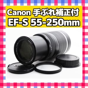 美品 キャノン Canon EF-S 55-250mm 4-5.6 IS Ⅱ 望遠レンズ