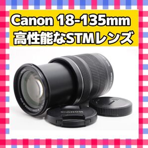 美品 Canon キヤノンEF-S 18-135mm F3.5-5.6 IS STM 手振れ補正 この1本で完結