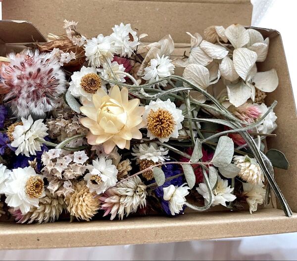 ドライフラワー 花材詰め合わせ ハンドメイド花材 花材セット ハーバリウム花材 リース花材 セルリア