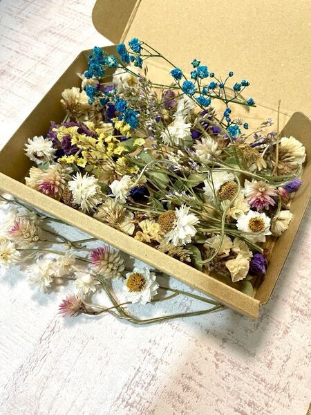 花材セット ドライフラワー 花材詰め合わせ アンモビューム 青色かすみ草 リース花材 キャンドル花材 詰め合わせ