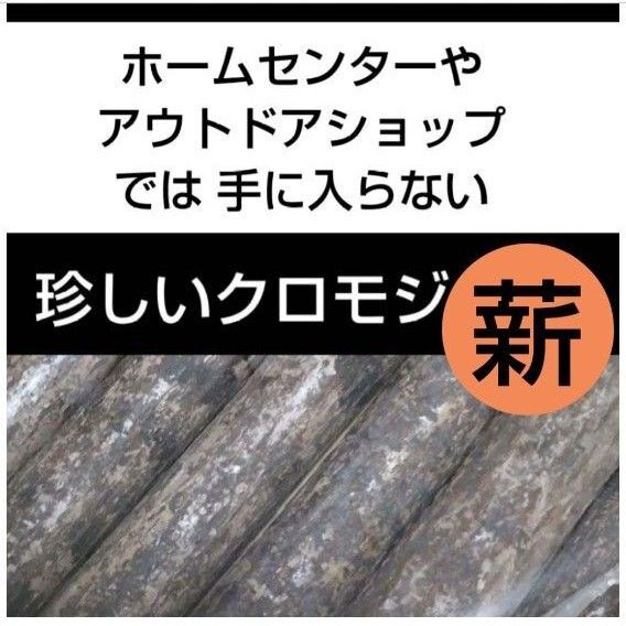 珍しい香りの良いクロモジの薪B アウトドア キャンプ 着火剤のかわりに 枝 焚き火 バーベキュー 火起こし