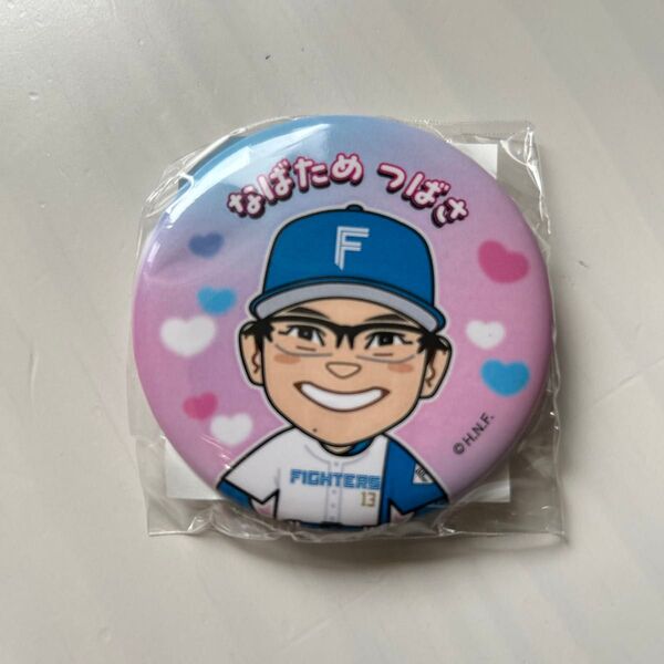 限定品 北海道日本ハムファイターズ 生田目翼 缶バッジ ガチャガチャ かわいいシリーズ