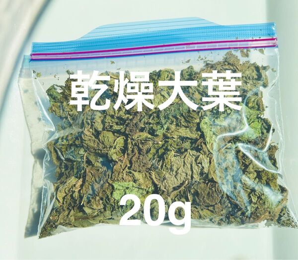 【ネコポス】乾燥大葉20g