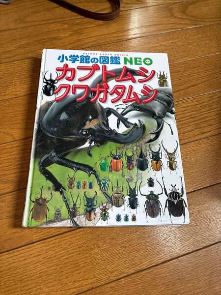 小学館の図鑑NEO カブトムシクワガタ カバーなし