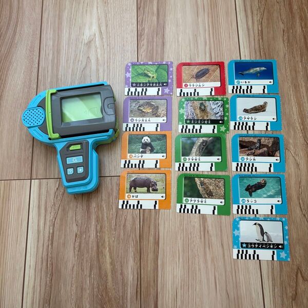 こどもちゃれんじ しまじろう すてっぷ いきものかんさつゴー カード13枚 おもちゃ 知育玩具