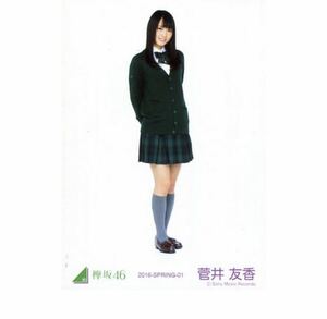 欅坂46 公式　生写真　1枚　菅井友香　ヒキ　2016 SPRING 02 ランダム生写真　初制服衣装　けやき坂　日向坂46