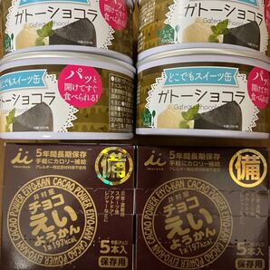 非常食おやつ ガトーショコラ チョコ栄養かん 非常用食品