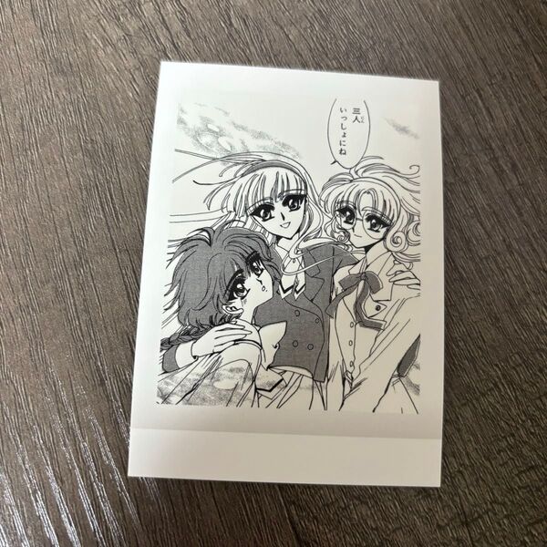 CLAMP展 ぱしゃこれ 魔法騎士レイアース 光 海 風