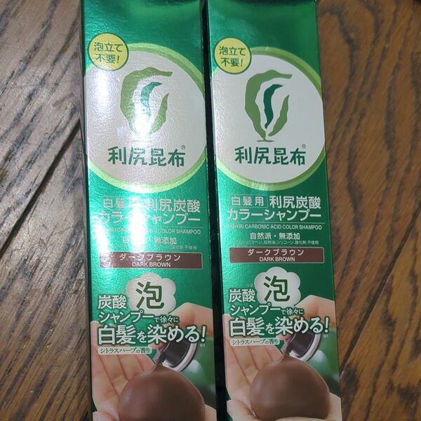 新品未開封 利尻炭酸カラーシャンプー ダークブラウン 白髪用 2本セット