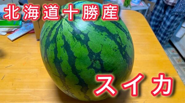 【北海道十勝産】スイカ 2Lサイズ ※ ほぼ農薬不使用 数量限定20箱 無くなり次第終了