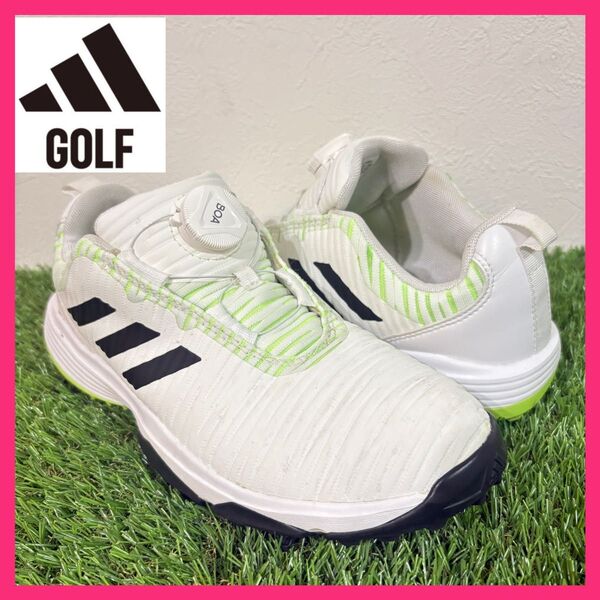 【adidas GOLF】キッズJr Codechaos Boa ゴルフシューズ アディダス 23㎝ ホワイト