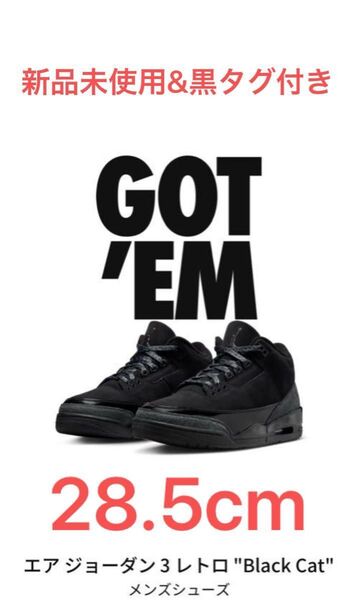 【確実正規品】Nike Air Jordan 3 Retro "Black Cat" (2025)28.5cm